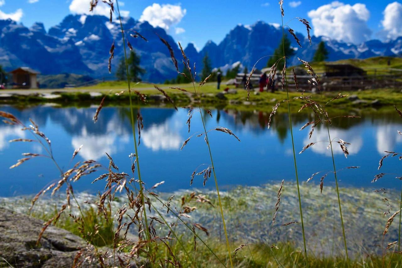 Hotel Rifugio Viviani Pradalago Madonna Esterno foto