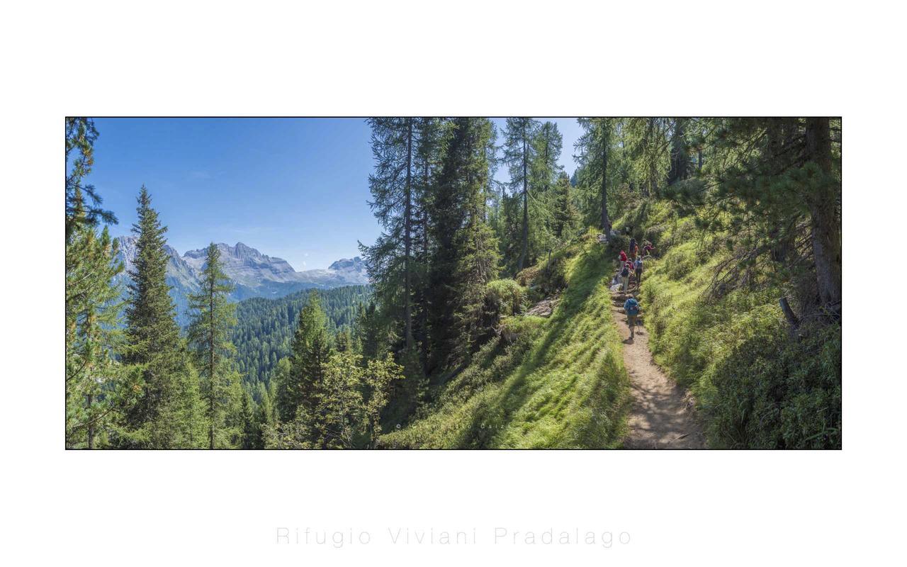 Hotel Rifugio Viviani Pradalago Madonna Esterno foto