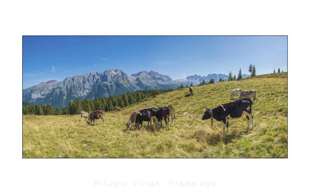 Hotel Rifugio Viviani Pradalago Madonna Esterno foto